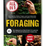 Picnic Cooking eBook by Amazon – 152‑Page Guide with Easy Recipes-0