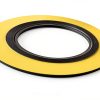 Spiral Wound Gasket Sterling Seal and Supply 2in x 150lb 316SS Ring 6-1